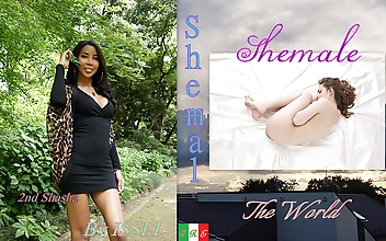 Shemale The World Shasha