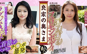 良家の奥さま奥さま、はしたのうございます…02