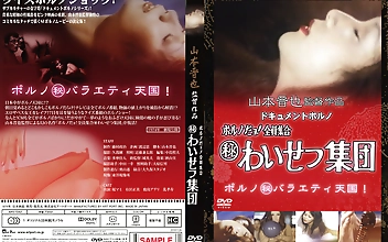 ドキュメントポルノ ポルノだョ！全員集合（秘）わいせつ集団